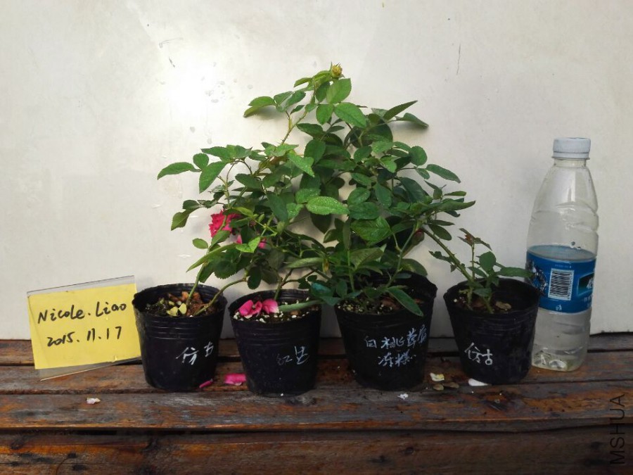 QQͼƬ20151117090329.jpg