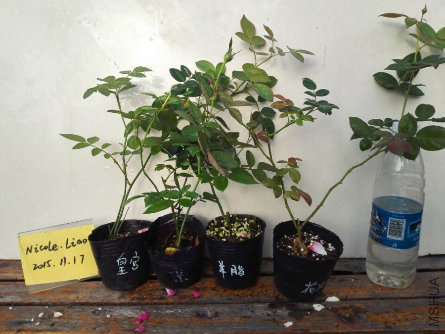 QQͼƬ20151117090337.jpg