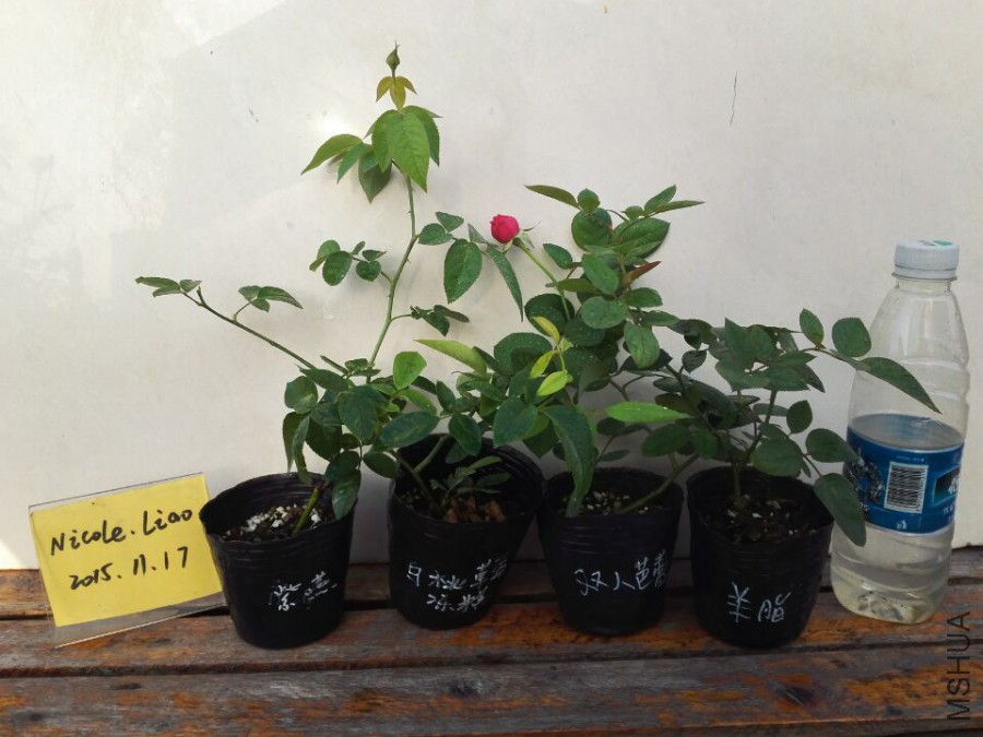 QQͼƬ20151117090416.jpg