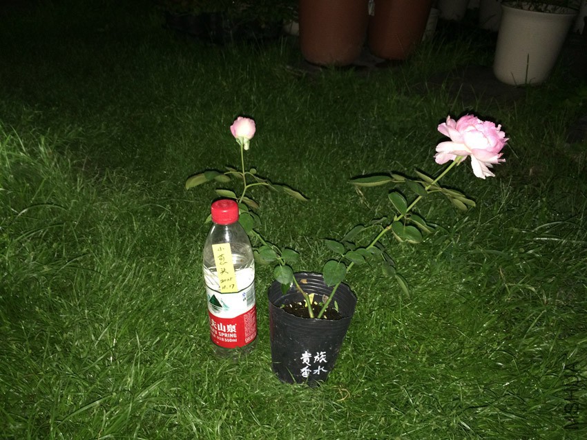 ������ˮ