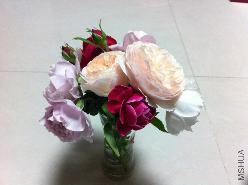 psbCAMH06UU_����.jpg