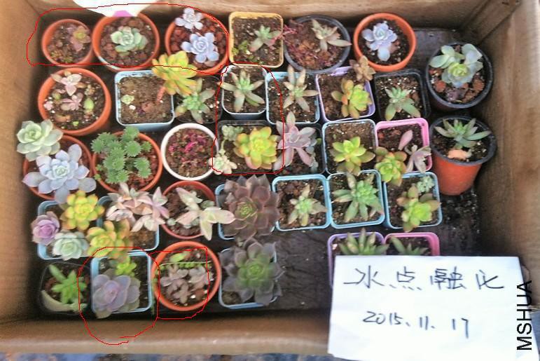 230011s5u1j0yz58a8emyu.jpg