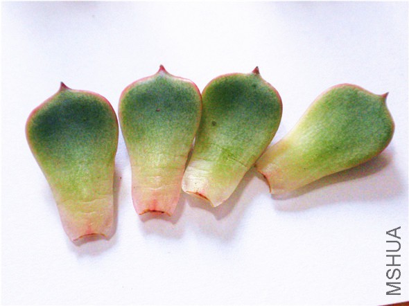 PB180013.JPG