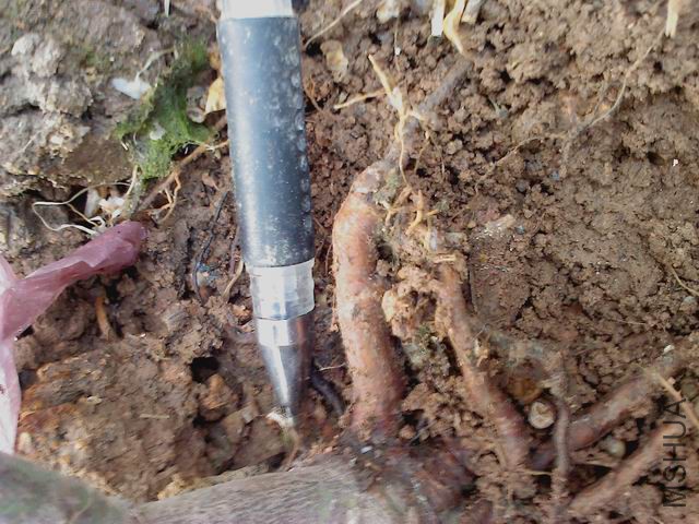 ������С IMG_20151118_142234_0.jpg