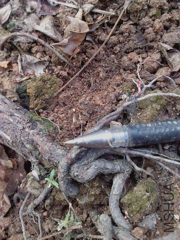 ������С IMG_20151118_142337_0.jpg