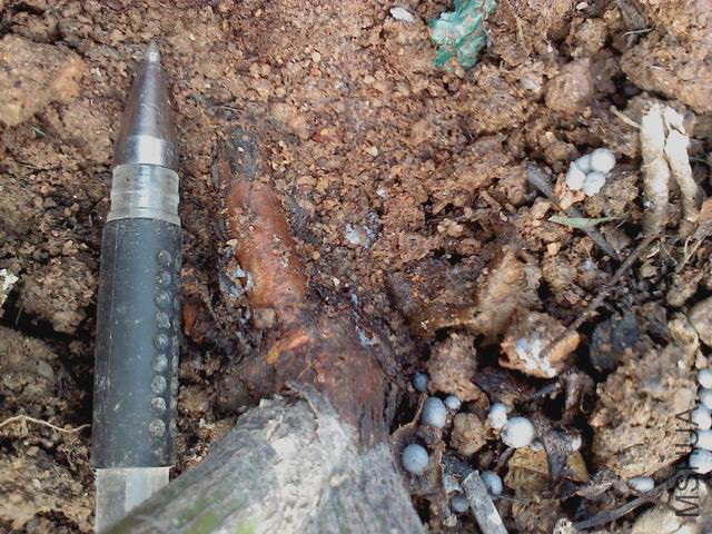 ������С IMG_20151118_142443_0.jpg