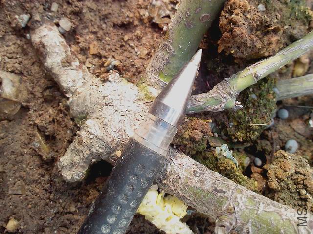 ������С IMG_20151118_142544_0.jpg