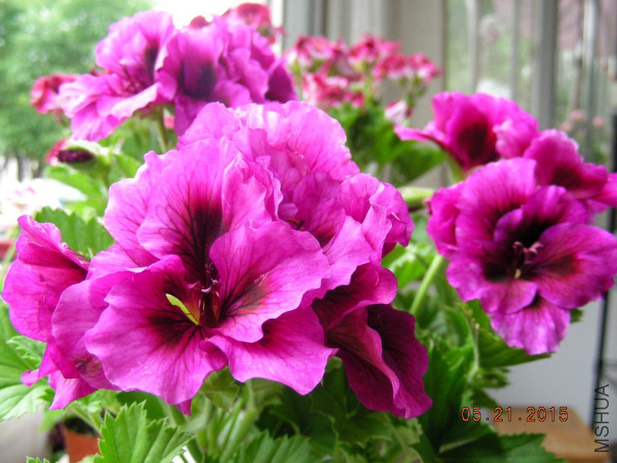 DSCN0173.JPG
