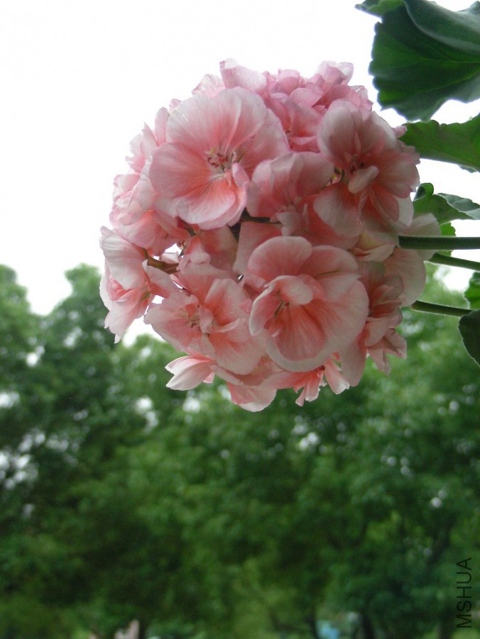 DSCN0403.JPG