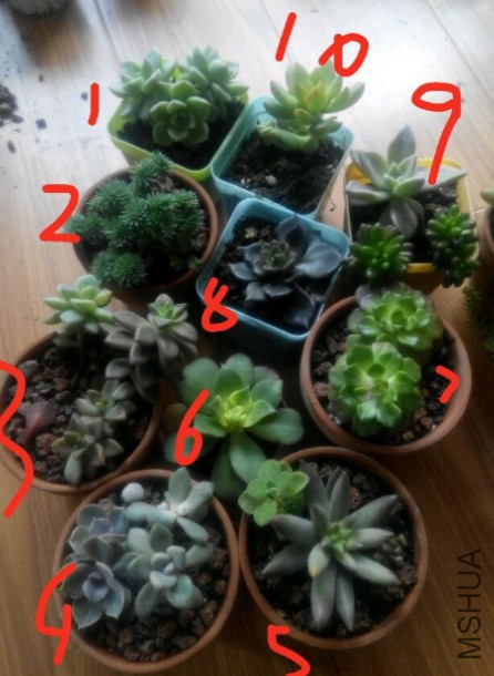 5Ԫÿ��.jpg