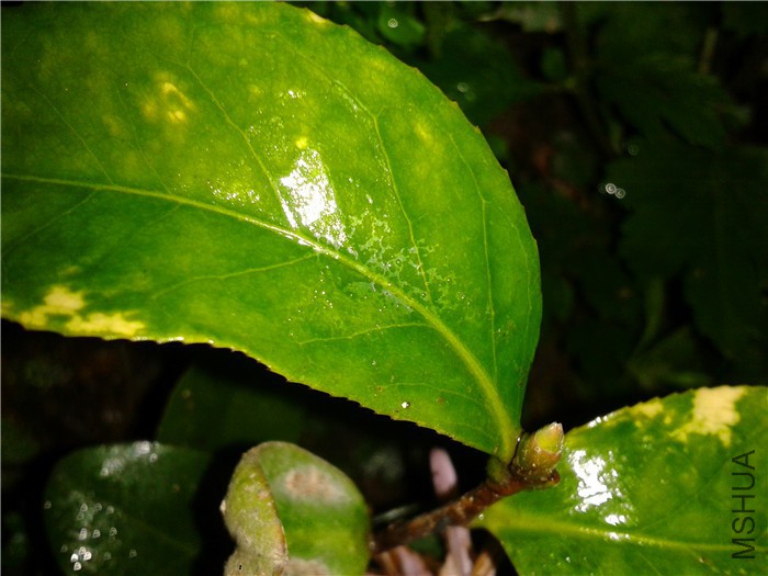 2015-11-18 18.27.36.jpg