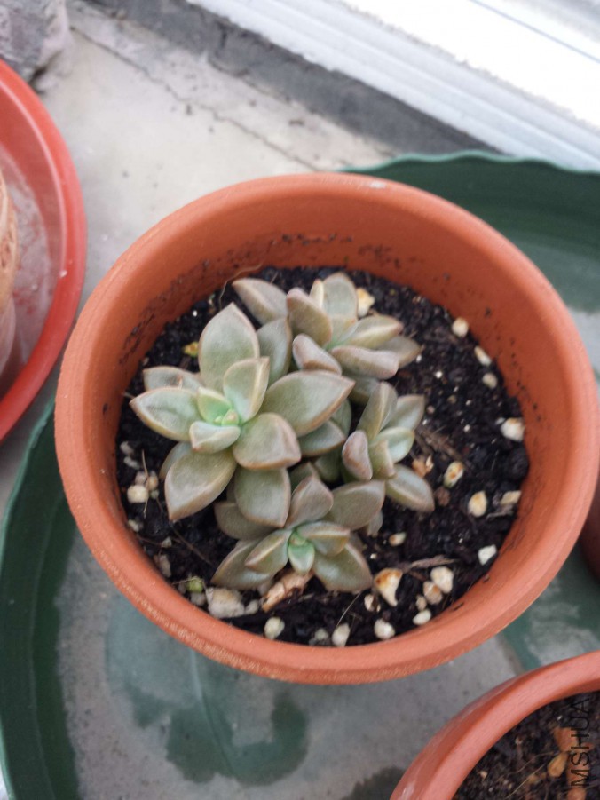 20151020_071856.jpg