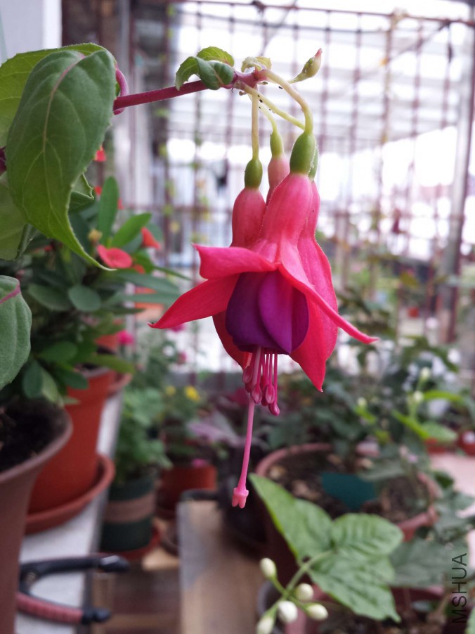 20151020_071613.jpg