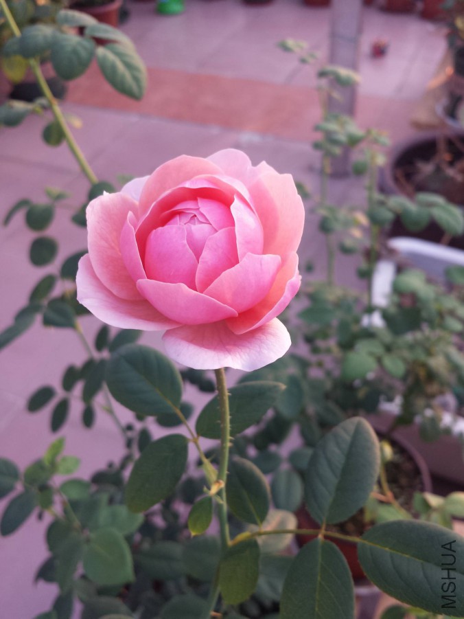 20151021_064109.jpg