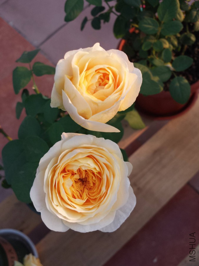 20151021_064225.jpg
