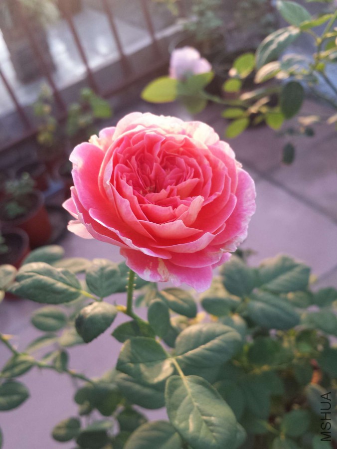 20151021_064306.jpg