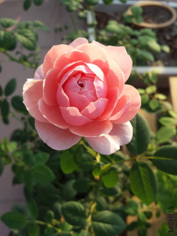 20151021_071717.jpg
