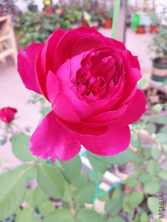 20151024_161413.jpg