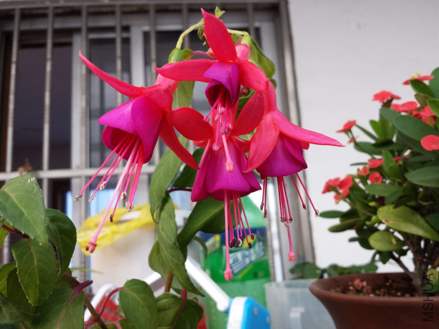 20151024_161607.jpg