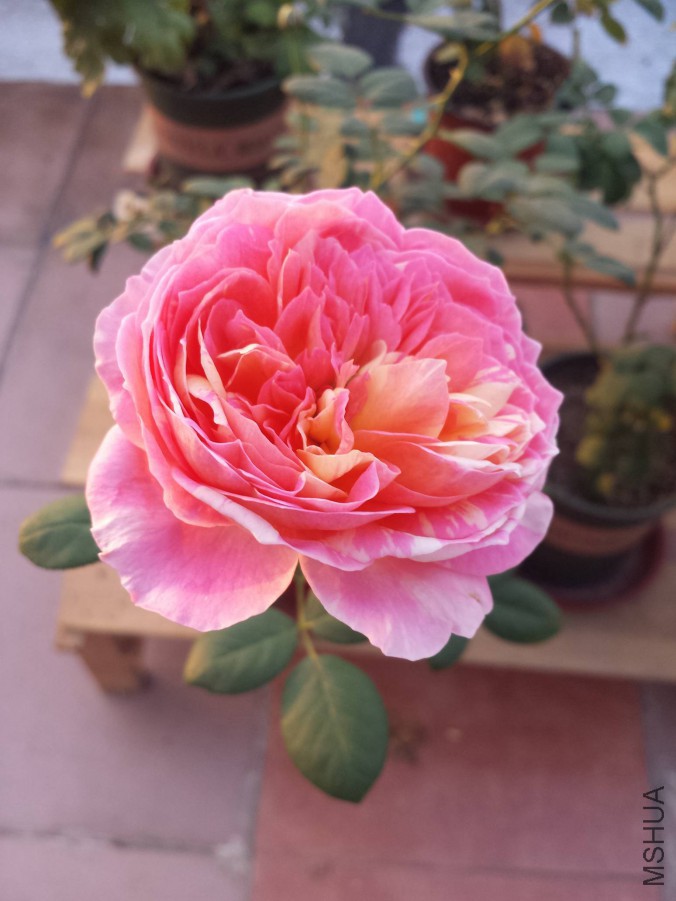 20151028_063900.jpg
