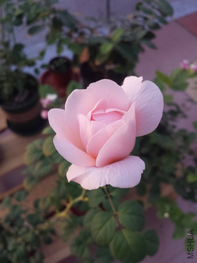 20151028_063952.jpg