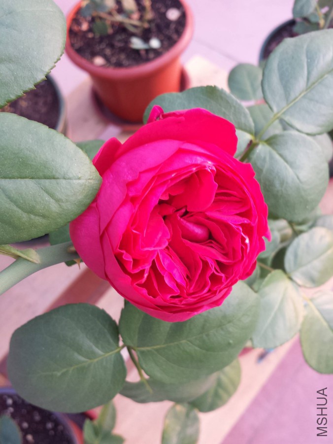 20151103_070619.jpg