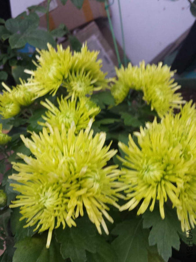 20151105_064419.jpg