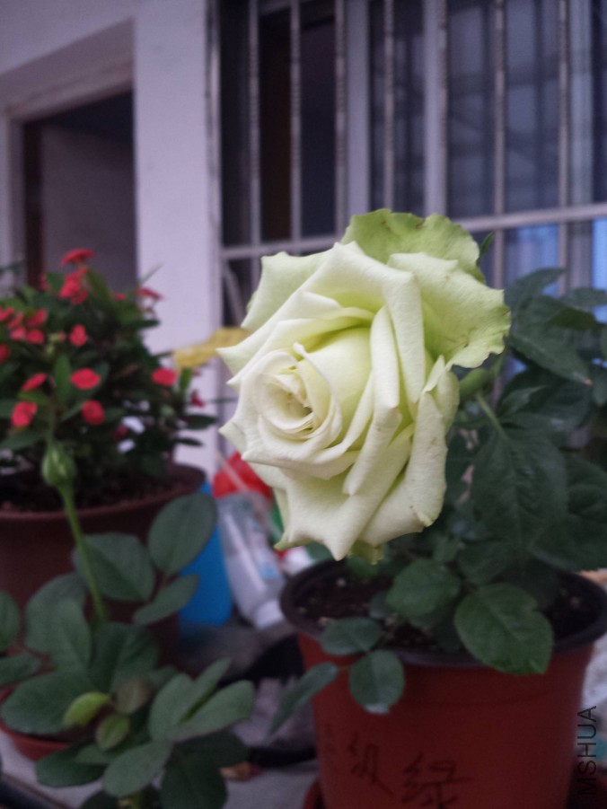 20151105_064617.jpg