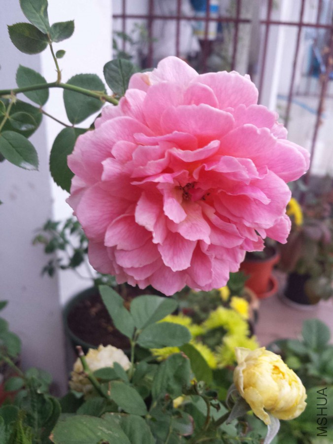 20151105_064645.jpg