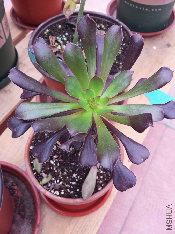 20151119_073105.jpg