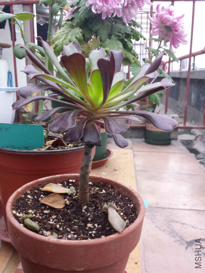 20151119_073115.jpg