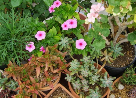 PA296755.JPG
