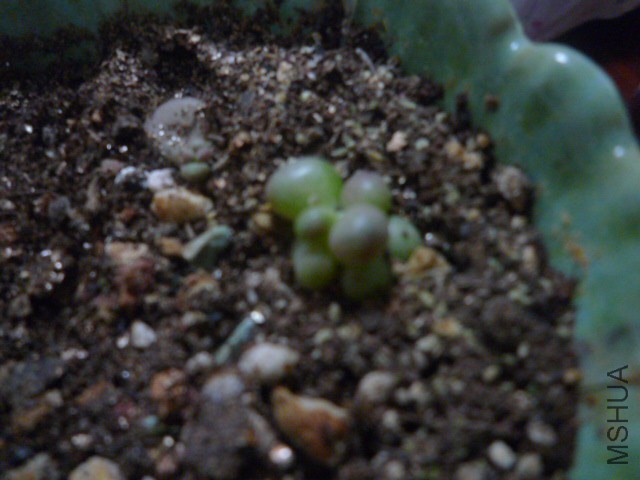 P1090898.JPG