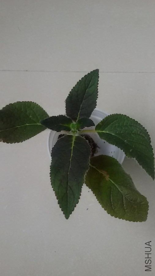 �½��ļ���20151120_120208.jpg