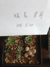 ֻ���ҵ�3.5����33���ѳ���