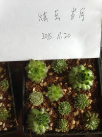 2����5��һ�ţ�1.5����3��