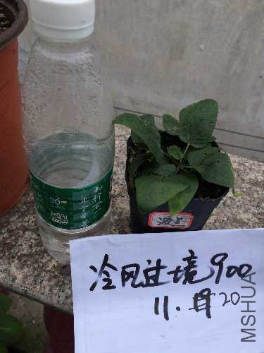 image.jpeg