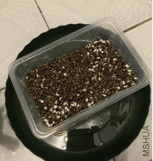 �����Һ���ʯ���õ��Ƿ���������