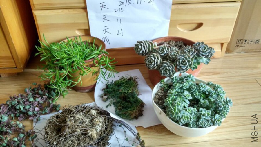 QQͼƬ20151121122714.jpg