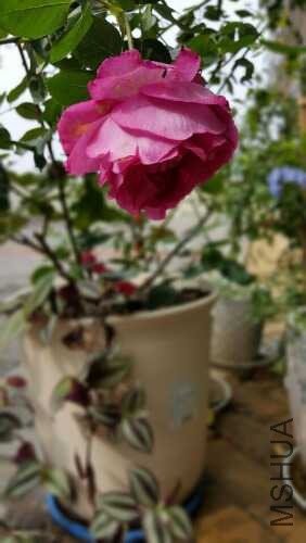 -3033a0cc384621ff.jpg