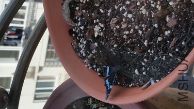 20151123_121040.jpg