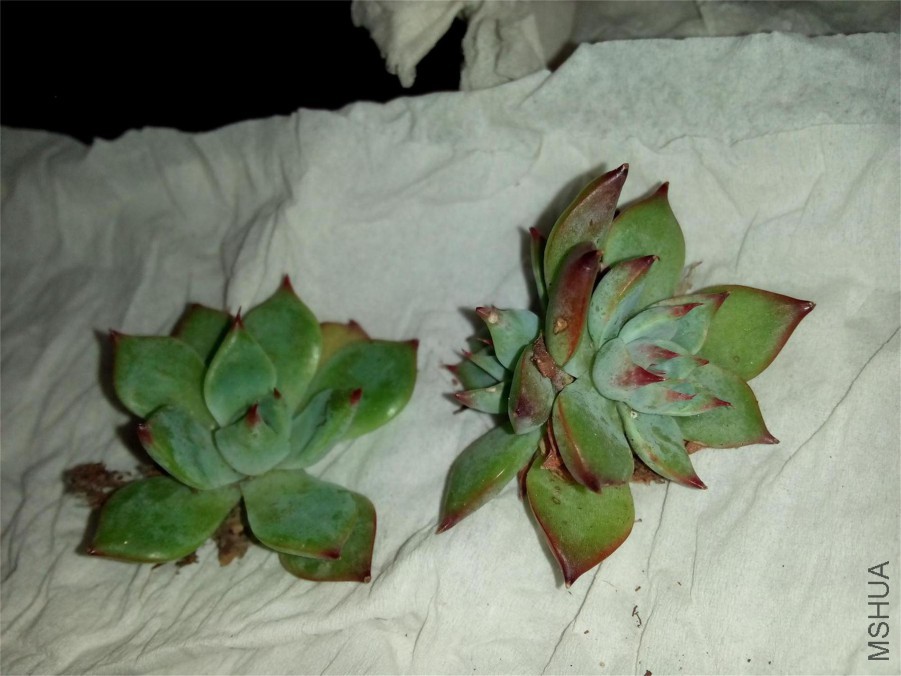 IMG20151123145109.jpg
