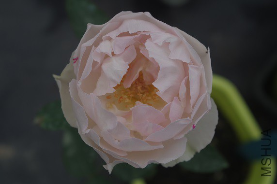 Ǯ������.JPG