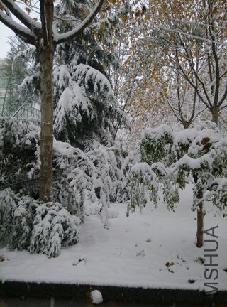 IMG_20151124_081448.jpg