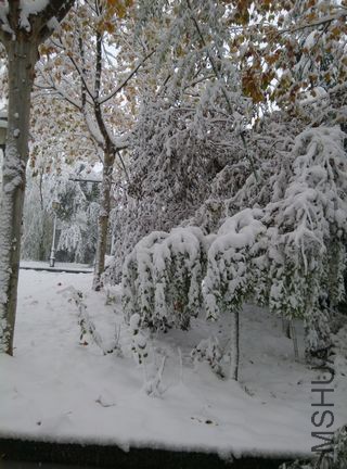 IMG_20151124_081459.jpg