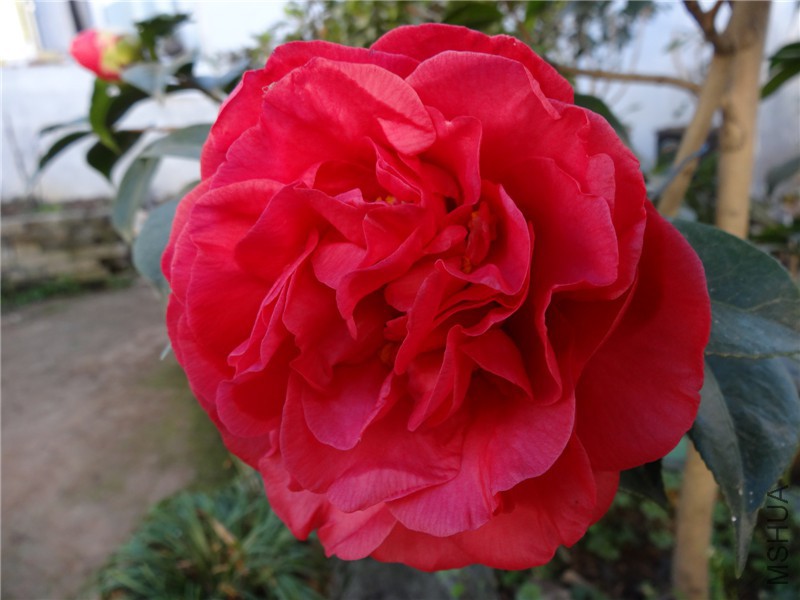 DSC01994.jpg