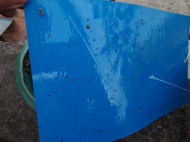 �����һ��