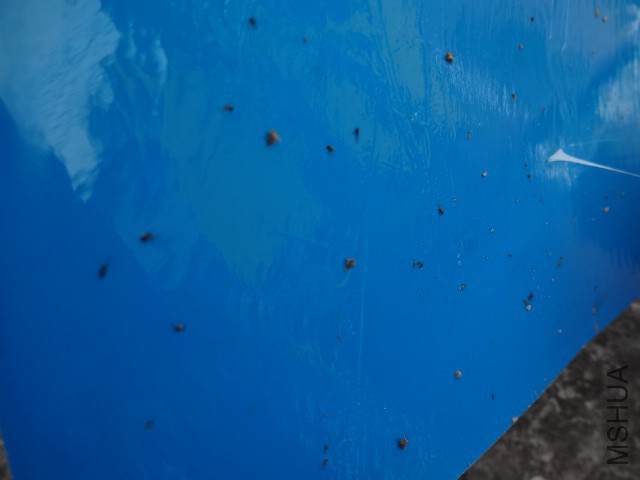 �����һ��