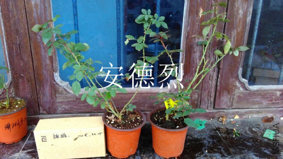 QQͼƬ20151125163345.jpg