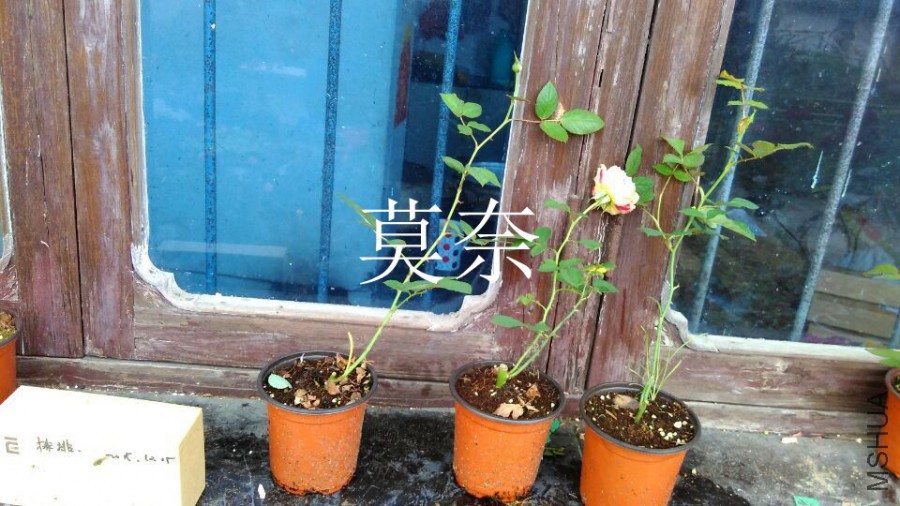 QQͼƬ20151125163406.jpg